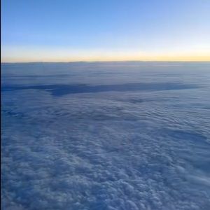 Meet your Posher, Lila